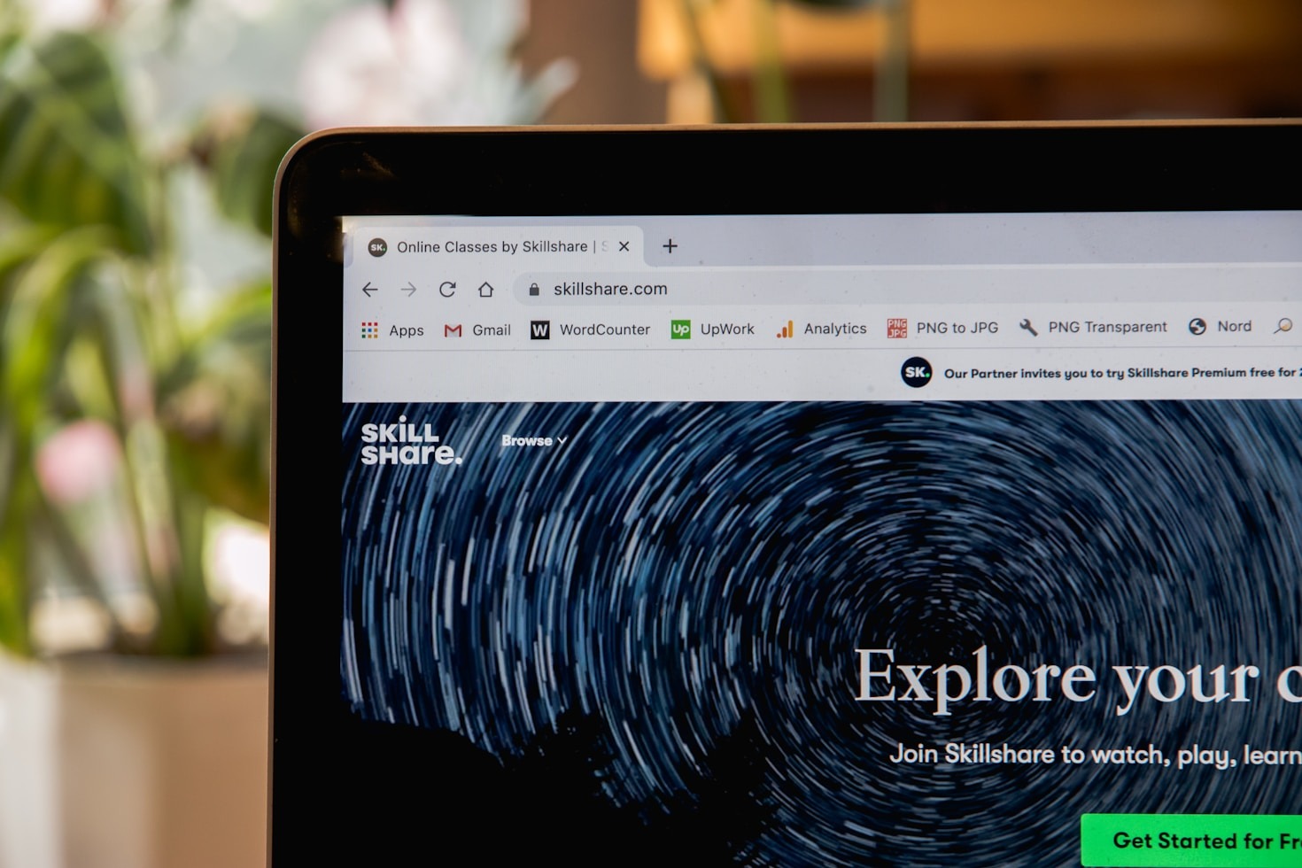 How to Choose High Authority Domains